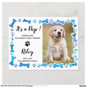 Blue Paw Prints Bones New Pet Dog Puppy Announcement Postcard