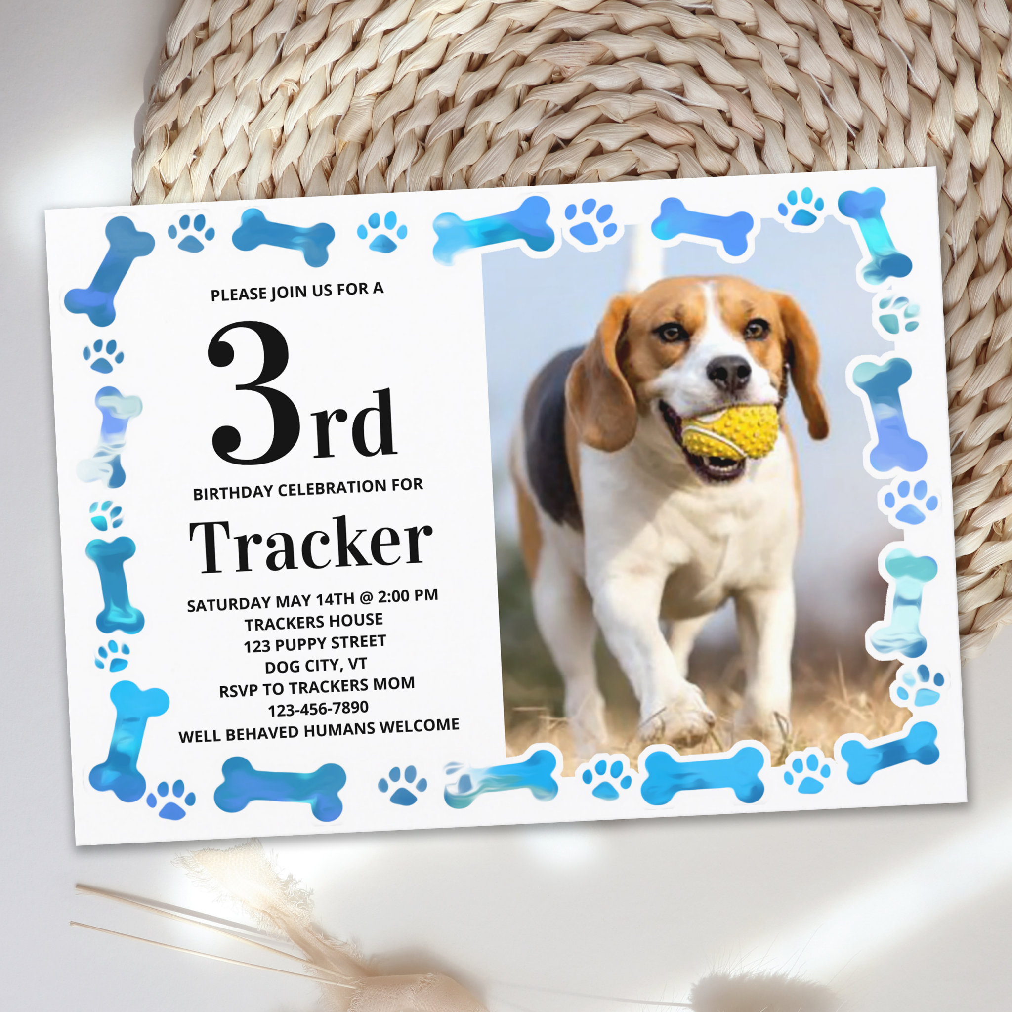 Blue Paw Prints Custom Dog Birthday Party Photo Invitation