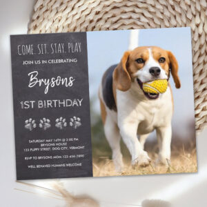 Budget Come Sit Stay Chalkboard Puppy Dog Birthday