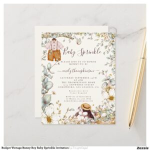 Budget Vintage Bunny Boy Baby Sprinkle Invitation