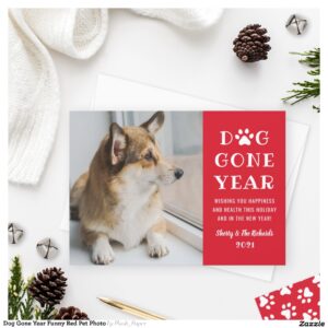 Dog Gone Year Funny Red Pet Photo Holiday Card