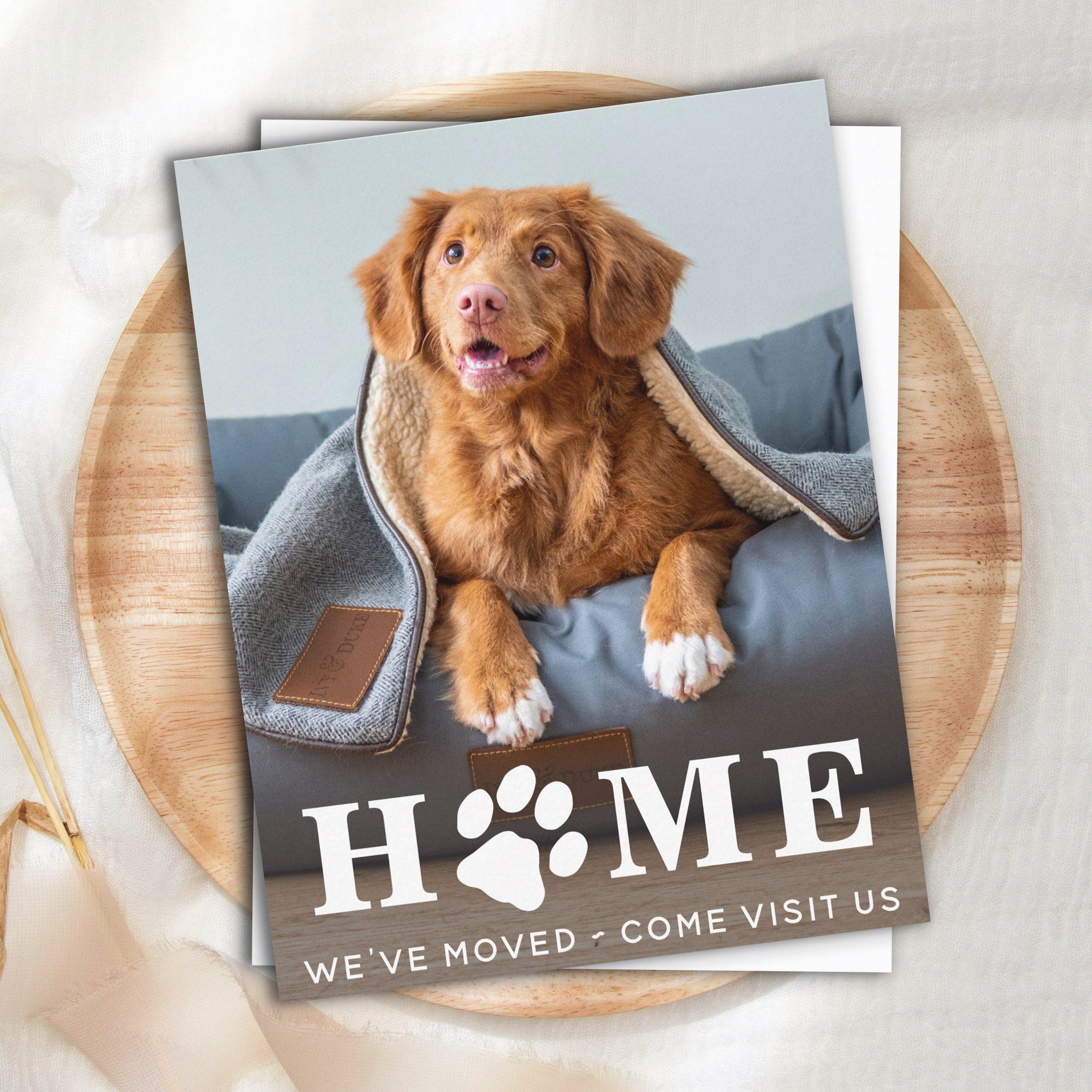 Home Dog Moving We've Moved Pet Moving Announcement Postcard