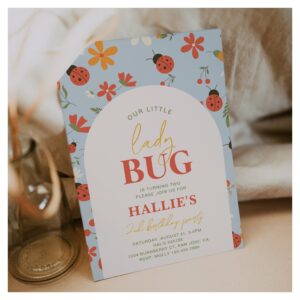 Ladybug Birthday Invitation Country Birthday