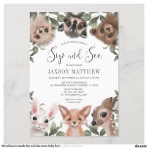 Woodland animals Sip and See meet baby boy Invitation